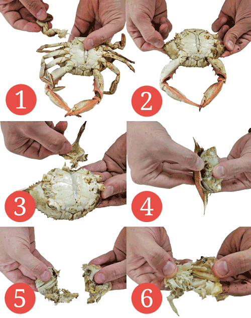 How to eat Maryland Blue Crabs