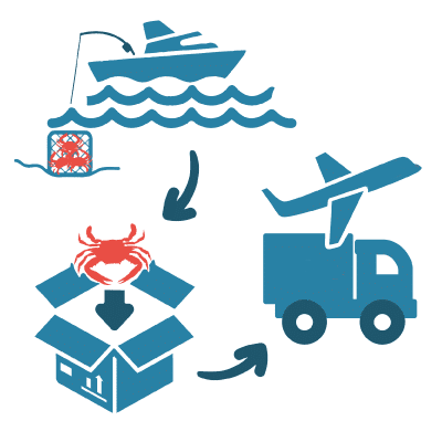 Catch, Pack & Ship