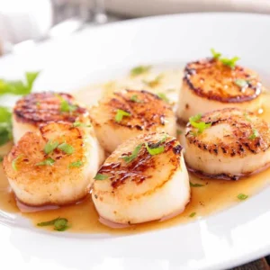 Sea Scallops