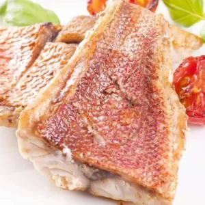 Red Snapper